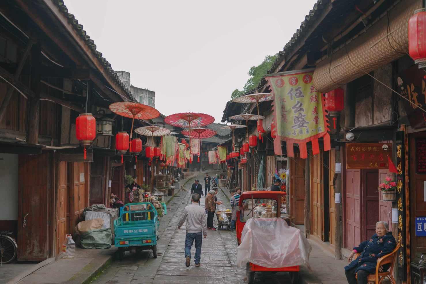 爱吃叶子的毛毛虫